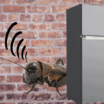 cricket behind a fridge