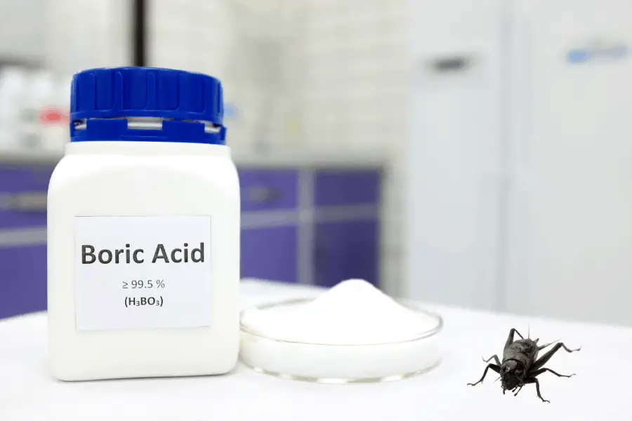 boric acid as a pesticide for crickets