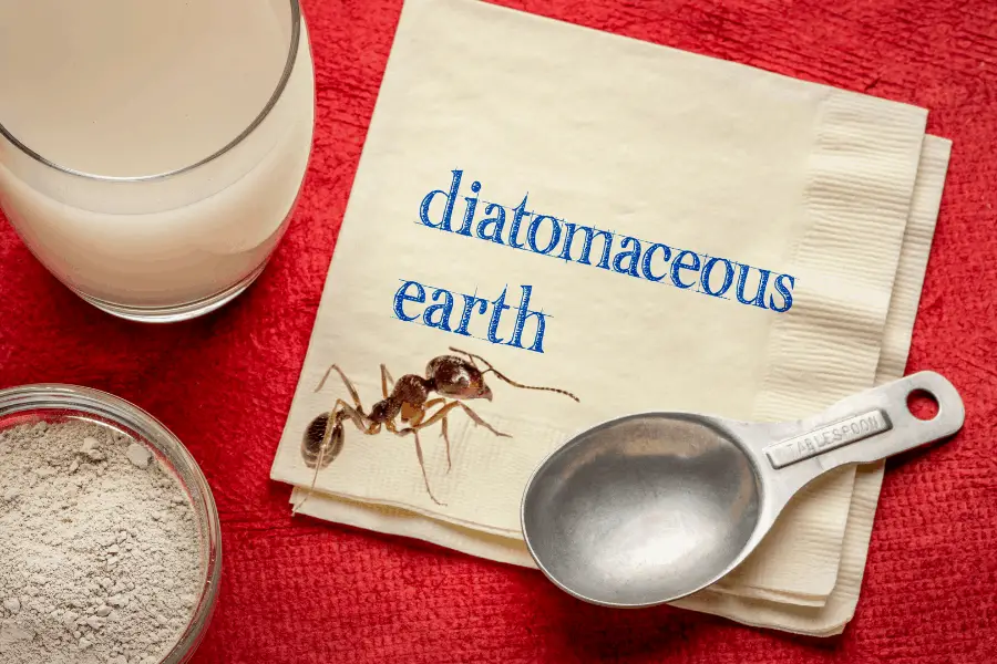 Diatomaceous Earth