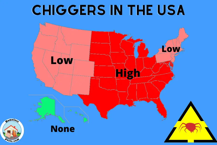 Chiggers in The USA - guide