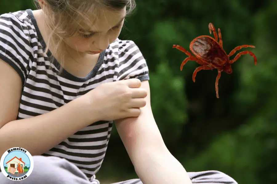 How To Identify Chigger Bites & Stop The Itch Quick