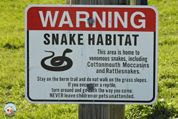 What Habitats Do Snakes Like