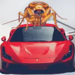Getting Rid of Car Roaches
